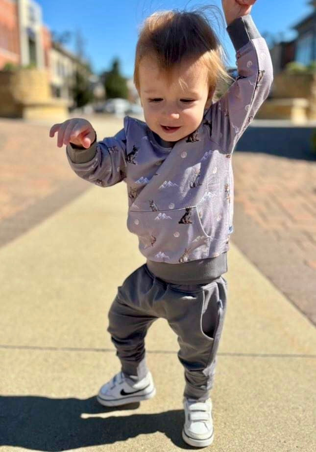 Crewneck Pullover in 'Little Grey Wolf'