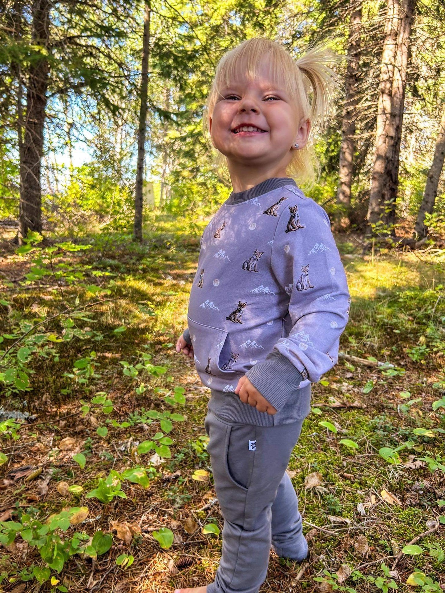 Crewneck Pullover in 'Little Grey Wolf'