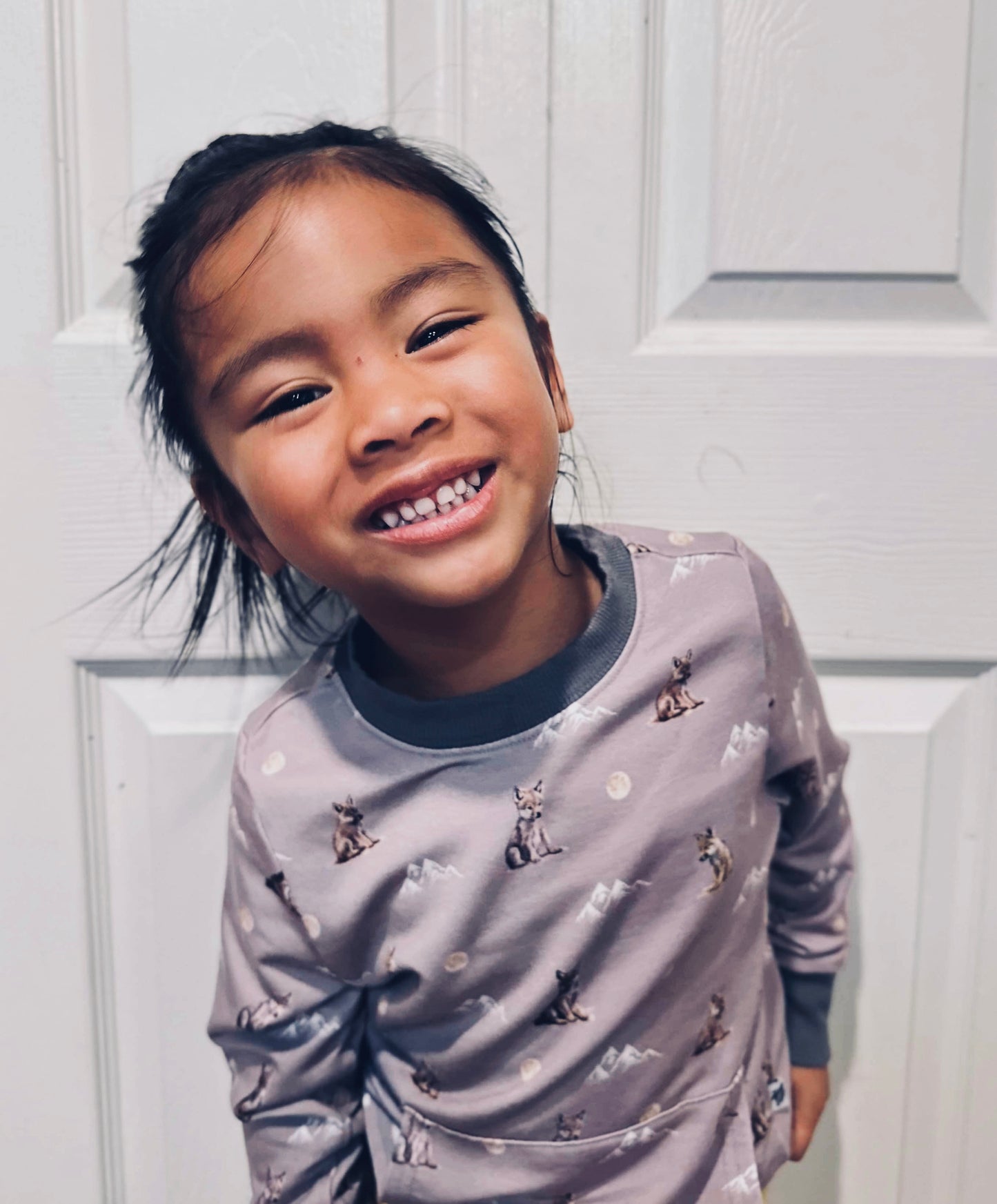 Crewneck Pullover in 'Little Grey Wolf'