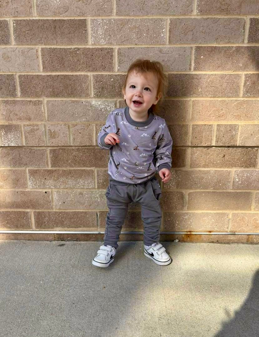 Crewneck Pullover in 'Little Grey Wolf'