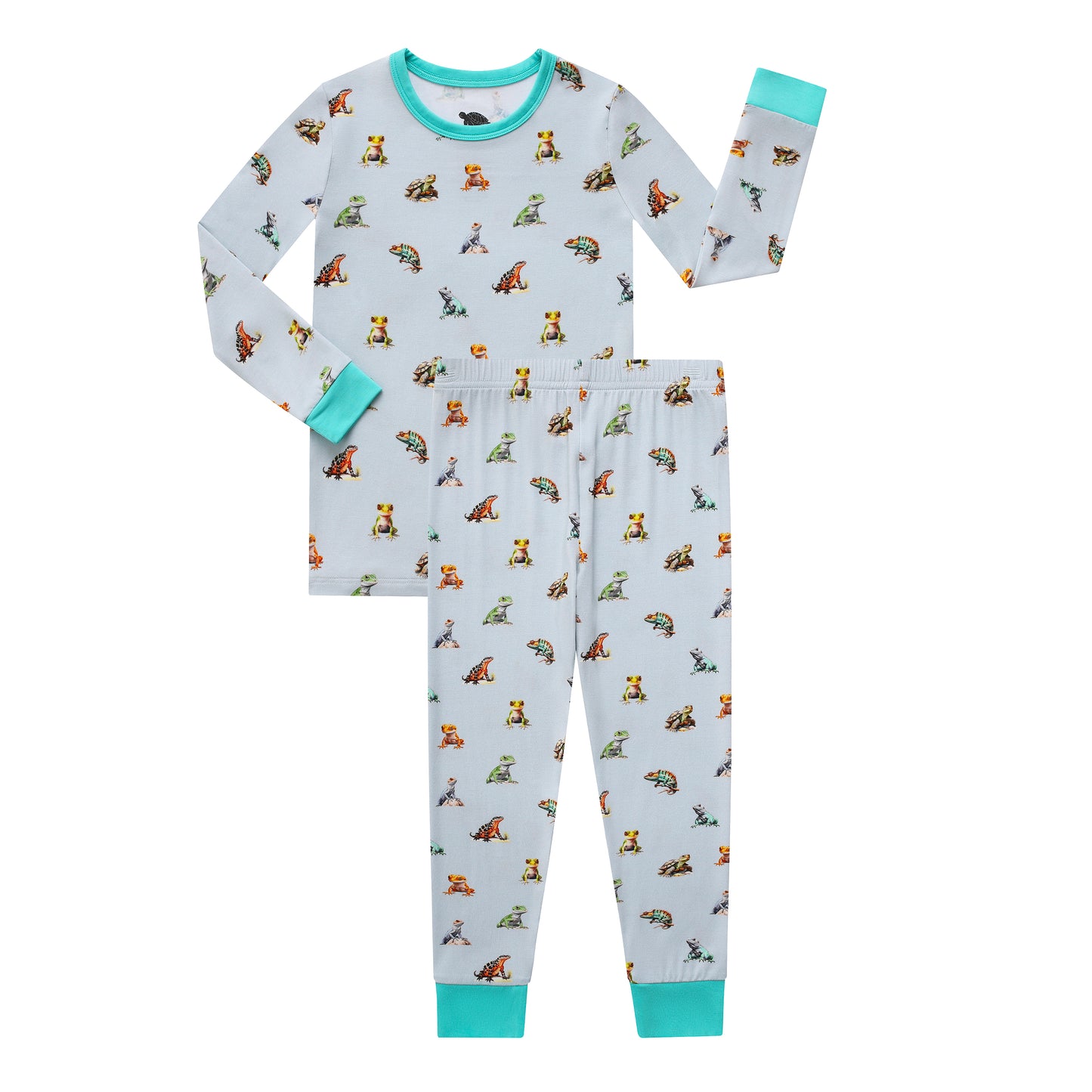 Long Sleeve Set in Iguana Cuddle