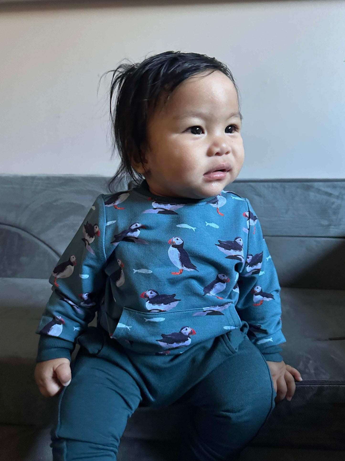 Crewneck Pullover in 'Puffins’